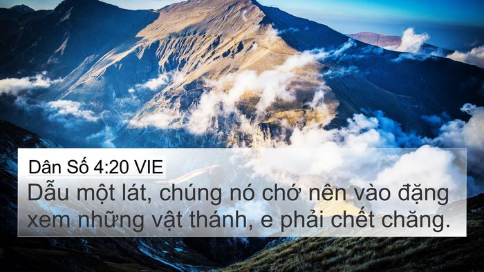 Dân Số 4:20 VIE 4K Wallpaper - Dẫu một lát, chúng nó chớ nên vào - 4K Wallpaper Bible Verse