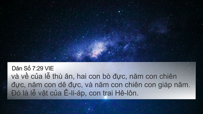 Dân Số 7:29 VIE 4K Wallpaper - và về của lễ thù ân, hai con bò đực, - 4K Wallpaper Bible Verse