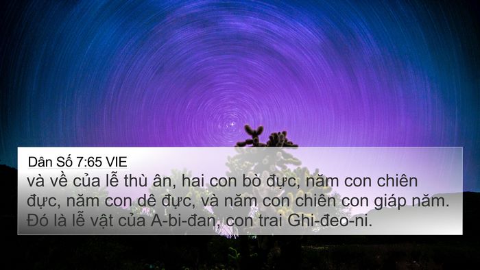 Dân Số 7:65 VIE 4K Wallpaper - và về của lễ thù ân, hai con bò đực, - 4K Wallpaper Bible Verse