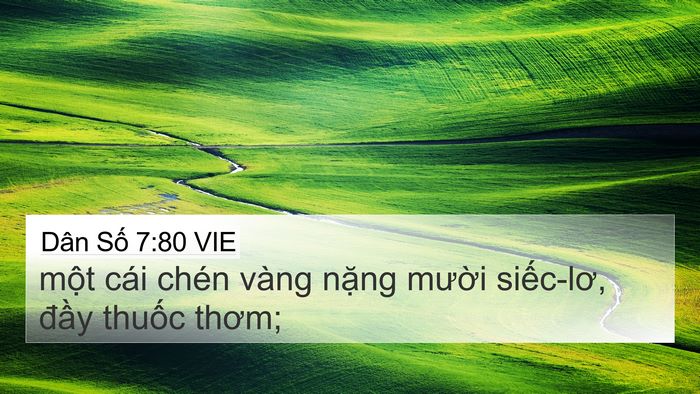 Dân Số 7:80 VIE 4K Wallpaper - một cái chén vàng nặng mười siếc-lơ, - 4K Wallpaper Bible Verse