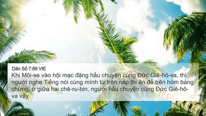 Dân Số 7:89 VIE 4K Wallpaper - Khi Môi-se vào hội mạc đặng hầu - 4K Wallpaper Bible Verse