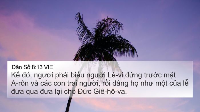Dân Số 8:13 VIE 4K Wallpaper - Kế đó, ngươi phải biểu người Lê-vi - 4K Wallpaper Bible Verse
