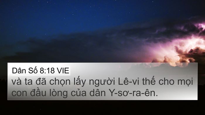 Dân Số 8:18 VIE Bible Verse Image