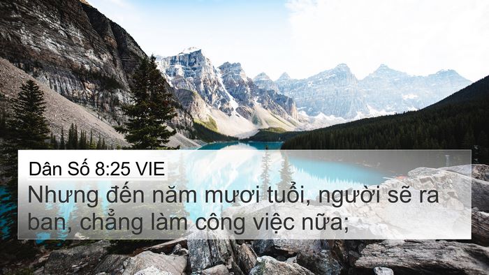 Dân Số 8:25 VIE 4K Wallpaper - Nhưng đến năm mươi tuổi, người sẽ - 4K Wallpaper Bible Verse