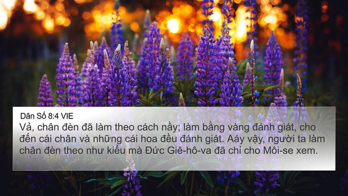 Dân Số 8:4 VIE 4K Wallpaper - Vả, chân đèn đã làm theo cách nầy; - 4K Wallpaper Bible Verse