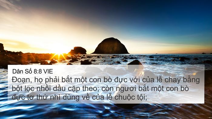 Dân Số 8:8 VIE Bible Verse Image
