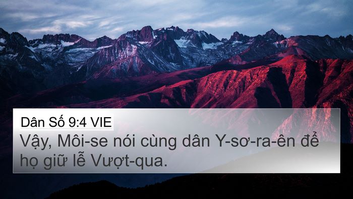 Dân Số 9:4 VIE 4K Wallpaper - Vậy, Môi-se nói cùng dân Y-sơ-ra-ên để - 4K Wallpaper Bible Verse