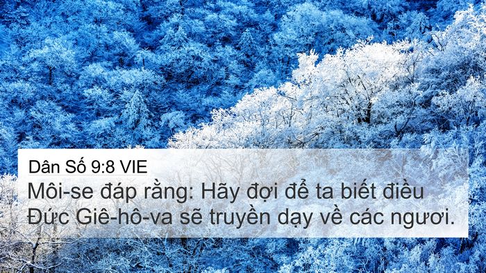 Dân Số 9:8 VIE Bible Verse Image