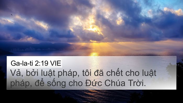 Ga-la-ti 2:19 VIE Bible Verse Image