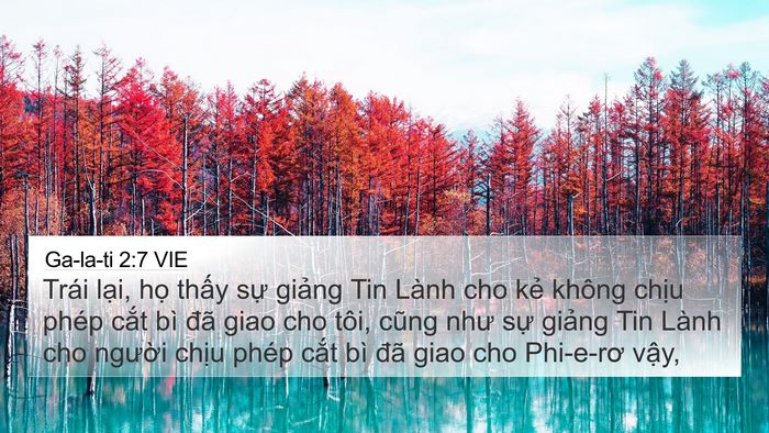 Ga-la-ti 2:7 VIE Bible Verse Image