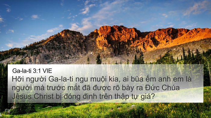 Ga-la-ti 3:1 VIE Bible Verse Image