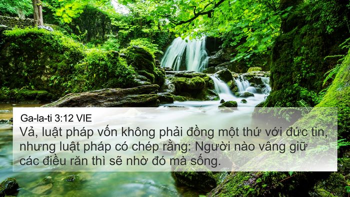 Ga-la-ti 3:12 VIE Bible Verse Image
