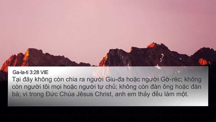 Ga-la-ti 3:28 VIE Bible Verse Image