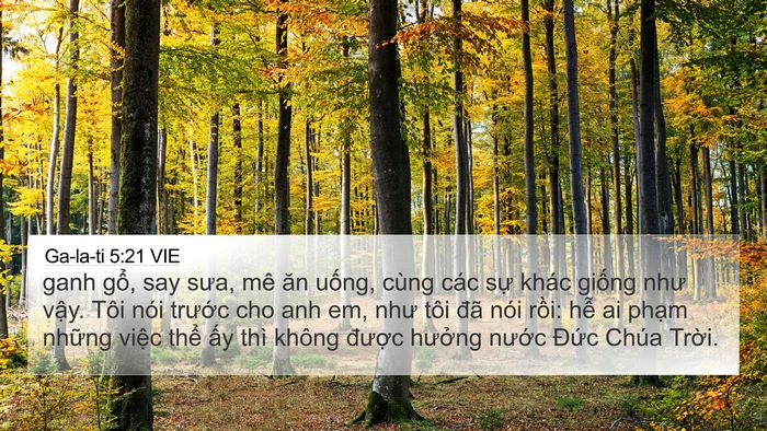 Ga-la-ti 5:21 VIE Bible Verse Image