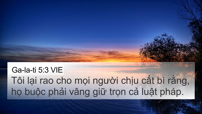 Ga-la-ti 5:3 VIE Bible Verse Image