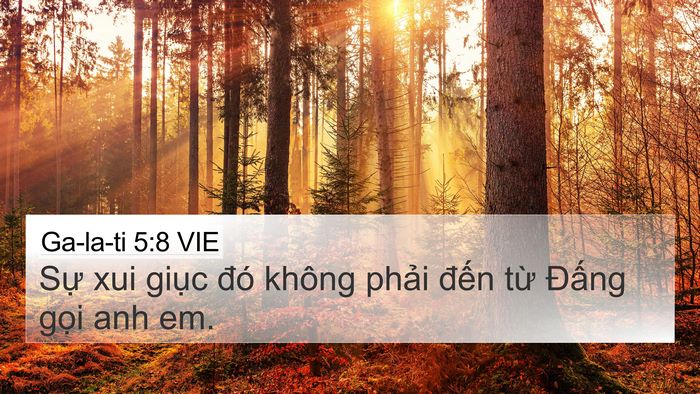 Ga-la-ti 5:8 VIE 4K Wallpaper - Sự xui giục đó không phải đến từ - 4K Wallpaper Bible Verse