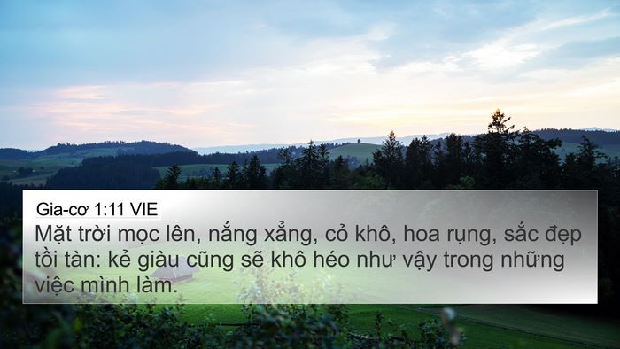 Gia-cơ 1:11 VIE Bible Verse Image
