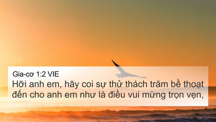 Gia-cơ 1:2 VIE Bible Verse Image
