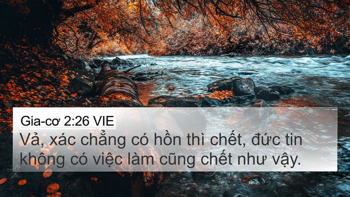 Gia-cơ 2:26 VIE Bible Verse Image