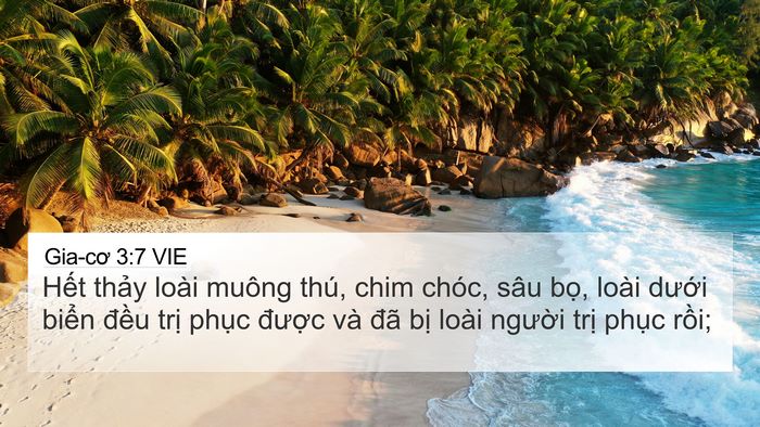 Gia-cơ 3:7 VIE Bible Verse Image