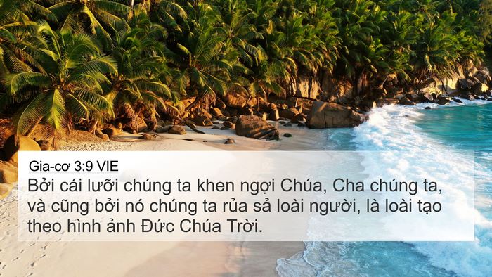 Gia-cơ 3:9 VIE 4K Wallpaper - Bởi cái lưỡi chúng ta khen ngợi Chúa, - 4K Wallpaper Bible Verse
