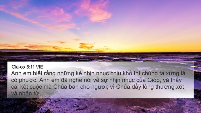 Gia-cơ 5:11 VIE Bible Verse Image