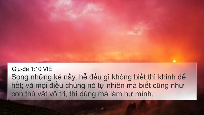 Giu-đe 1:10 VIE Bible Verse Image