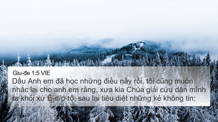 Giu-đe 1:5 VIE Bible Verse Image
