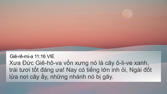 Giê-rê-mi-a 11:16 VIE 4K Wallpaper - Xưa Đức Giê-hô-va vốn xưng nó là cây - 4K Wallpaper Bible Verse