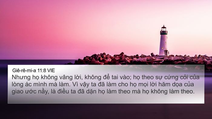 Giê-rê-mi-a 11:8 VIE Bible Verse Image