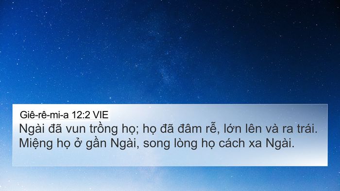 Giê-rê-mi-a 12:2 VIE Bible Verse Image