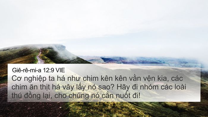 Giê-rê-mi-a 12:9 VIE 4K Wallpaper - Cơ nghiệp ta há như chim kên kên vằn - 4K Wallpaper Bible Verse