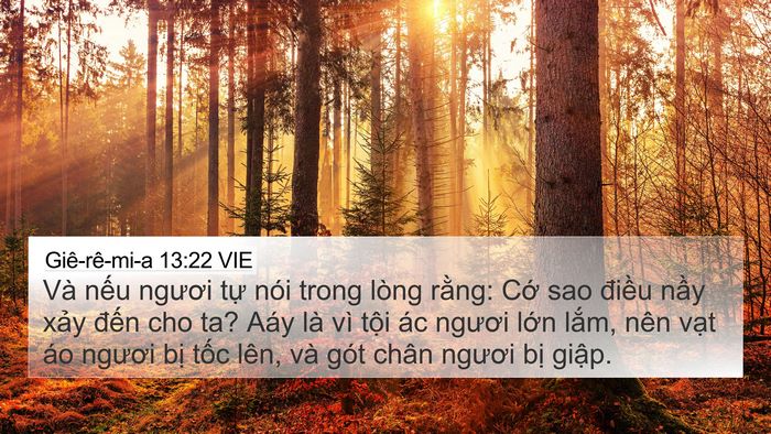 Giê-rê-mi-a 13:22 VIE Bible Verse Image