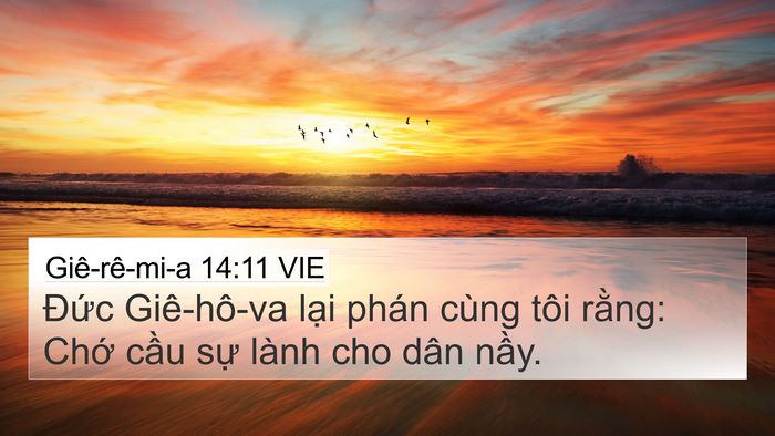 Giê-rê-mi-a 14:11 VIE Bible Verse Image