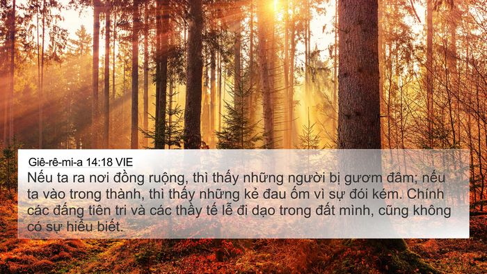Giê-rê-mi-a 14:18 VIE Bible Verse Image
