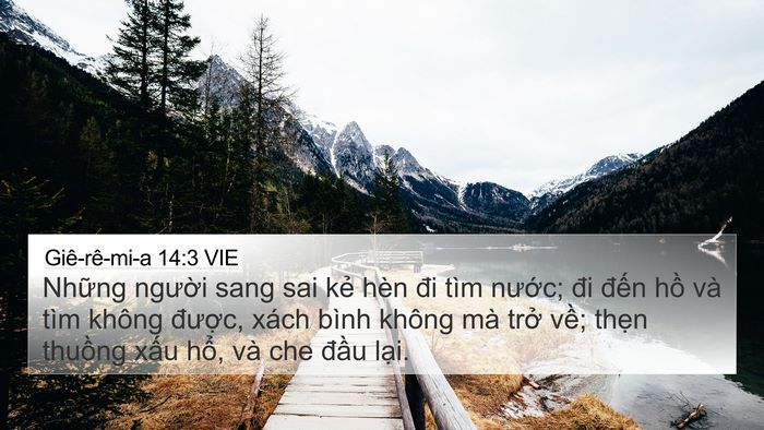 Giê-rê-mi-a 14:3 VIE Bible Verse Image