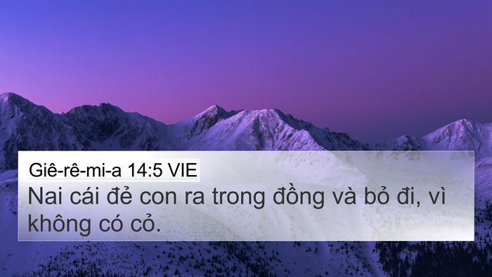 Giê-rê-mi-a 14:5 VIE Bible Verse Image