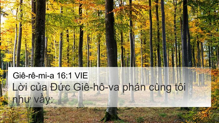 Giê-rê-mi-a 16:1 VIE 4K Wallpaper - Lời của Đức Giê-hô-va phán cùng tôi - 4K Wallpaper Bible Verse