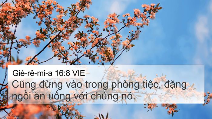 Giê-rê-mi-a 16:8 VIE Bible Verse Image