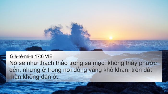 Giê-rê-mi-a 17:6 VIE Bible Verse Image