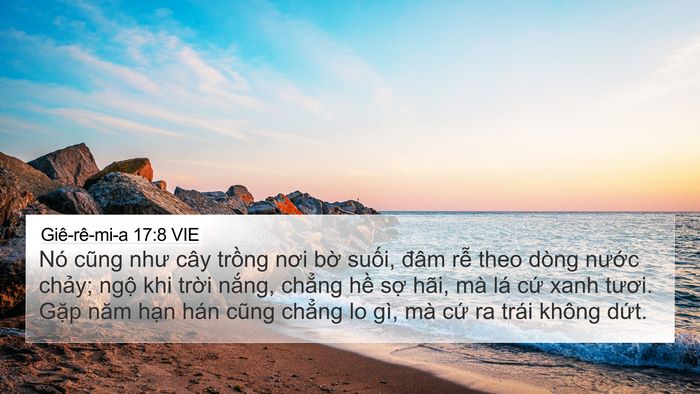 Giê-rê-mi-a 17:8 VIE Bible Verse Image