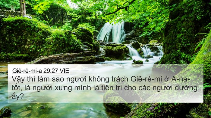 Giê-rê-mi-a 29:27 VIE 4K Wallpaper - Vậy thì làm sao ngươi không trách - 4K Wallpaper Bible Verse