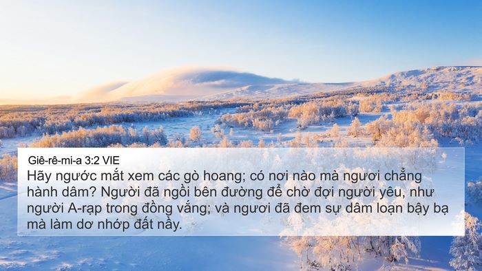 Giê-rê-mi-a 3:2 VIE Bible Verse Image