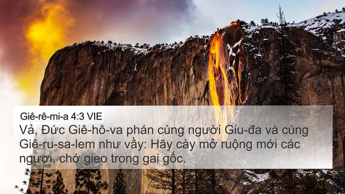 Giê-rê-mi-a 4:3 VIE Bible Verse Image