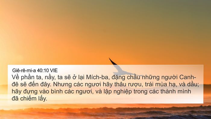 Giê-rê-mi-a 40:10 VIE 4K Wallpaper - Về phần ta, nầy, ta sẽ ở lại - 4K Wallpaper Bible Verse