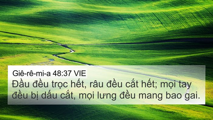 Giê-rê-mi-a 48:37 VIE Bible Verse Image