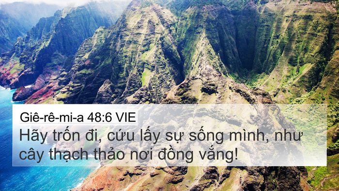 Giê-rê-mi-a 48:6 VIE Bible Verse Image
