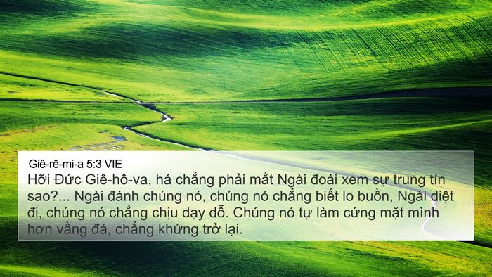 Giê-rê-mi-a 5:3 VIE Bible Verse Image