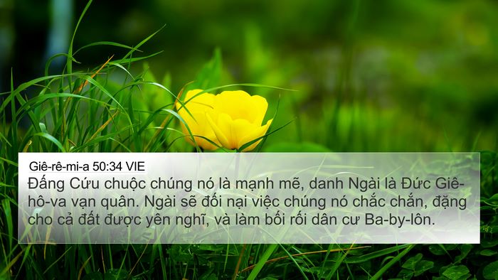 Giê-rê-mi-a 50:34 VIE Bible Verse Image
