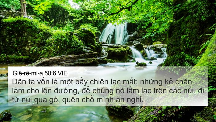 Giê-rê-mi-a 50:6 VIE Bible Verse Image